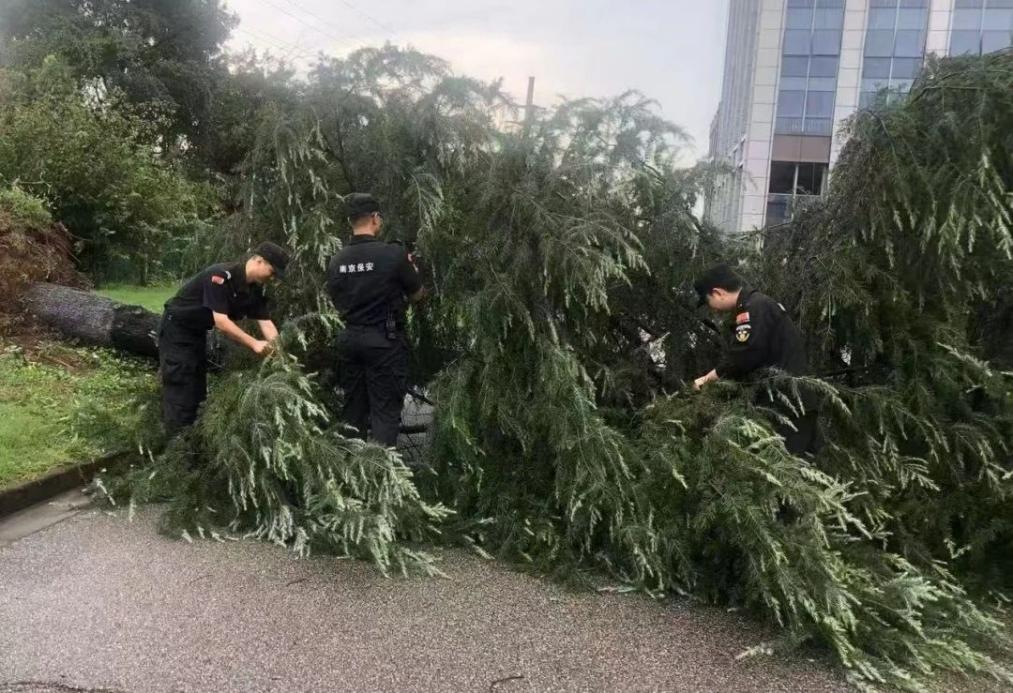 C:/Users/BA/Desktop/風雨過后南京保安迅速行動，恢復安“寧”面貌/1.jpg1