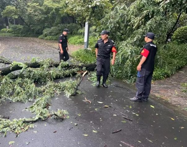 C:/Users/BA/Desktop/風雨過后南京保安迅速行動，恢復安“寧”面貌/7.jpg7